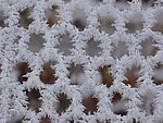 雪花