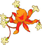 花纹