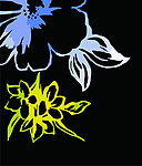 花纹