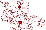 花纹