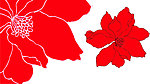 花纹