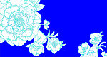 花纹