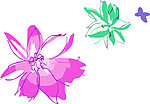 花纹