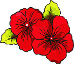花纹