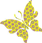 花纹