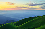 青山