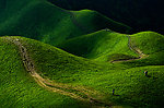 高山草地