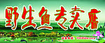 野生鱼专卖店
