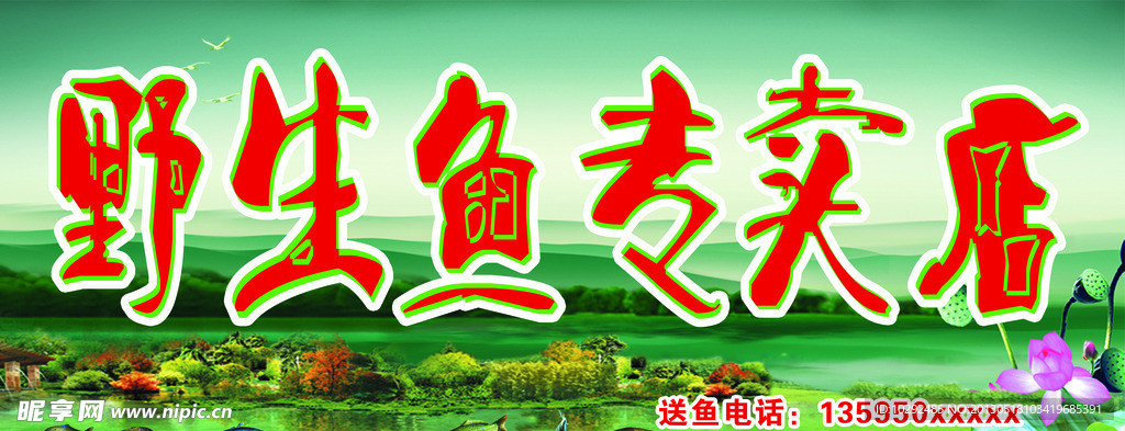 野生鱼专卖店