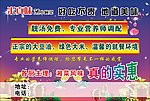 饭店 单页