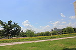 天空 草地
