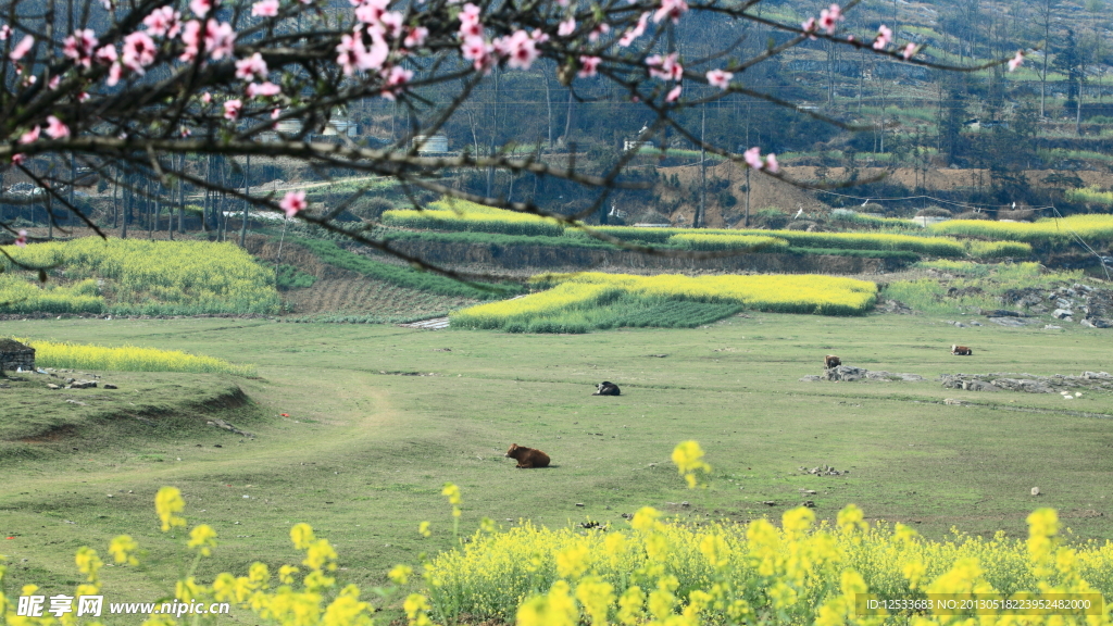 美丽乡村