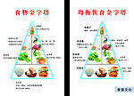 食物金字塔