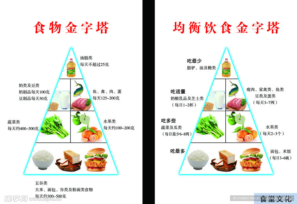 食物金字塔