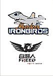 飞翔logo