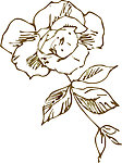 花纹