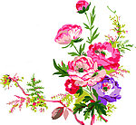 花纹