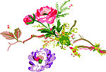 花纹