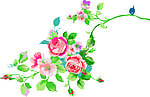 花纹