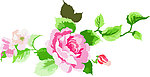花纹