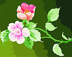 花纹