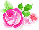 花纹