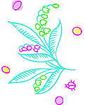 花纹