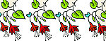 花纹