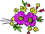 花纹