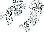 花纹