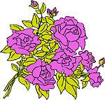 花纹