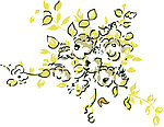 花纹