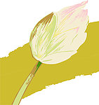 花纹
