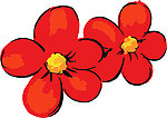 花纹