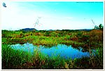 高山风景 天然积水湖