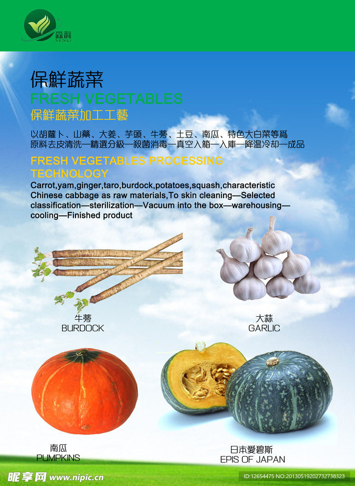 企业 宣传册