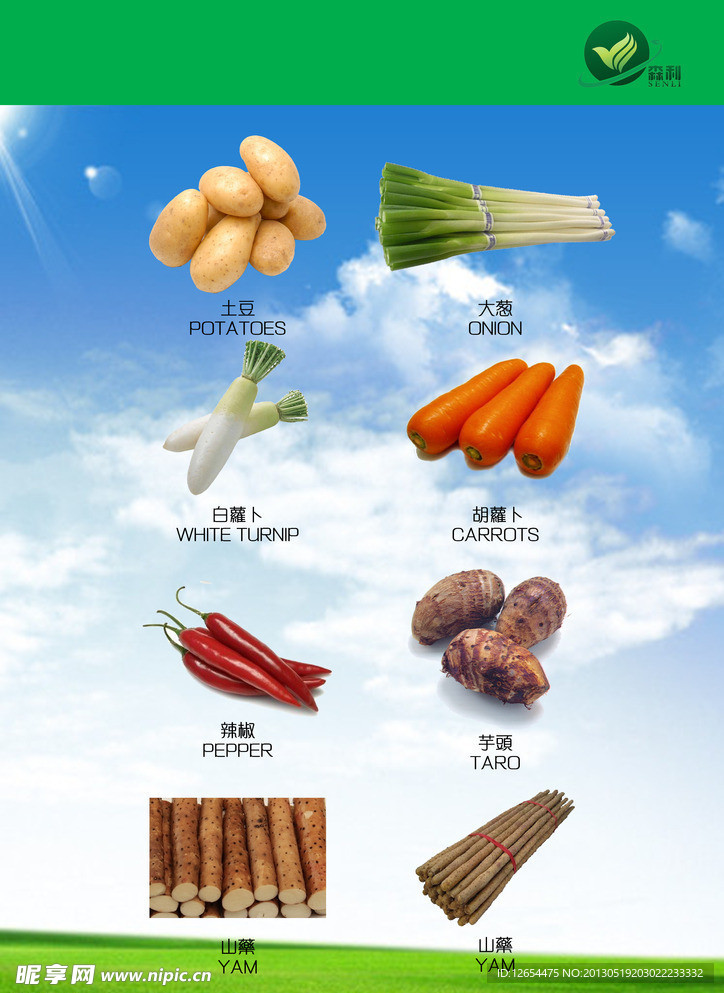 企业 宣传册