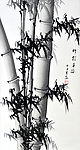 竹报平安