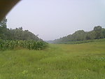 田地