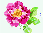 花纹