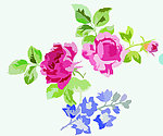 花纹
