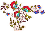 花纹