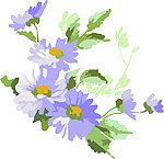 花纹