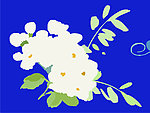 花纹