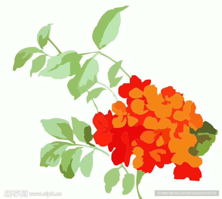 花纹