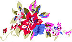 花纹