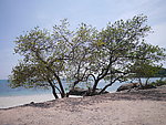 海滩