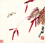 彩蝶图