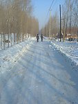 自然景观 雪