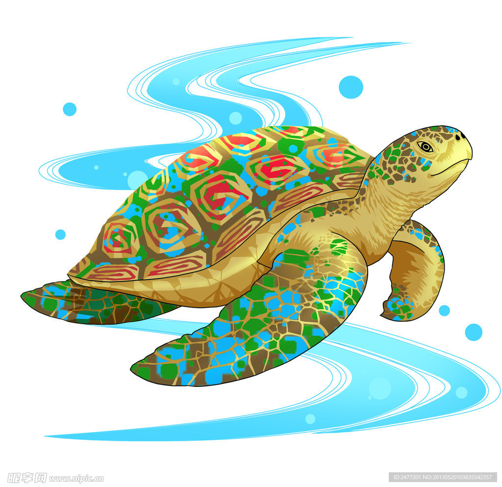 彩色海龟